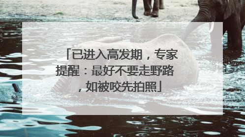 已进入高发期，专家提醒：最好不要走野路，如被咬先拍照