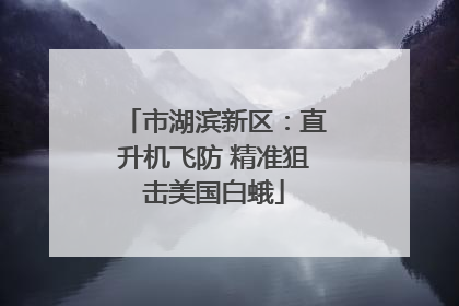 市湖滨新区：直升机飞防 精准狙击美国白蛾