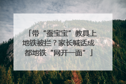 带“蚕宝宝”教具上地铁被拦？家长喊话成都地铁“网开一面”