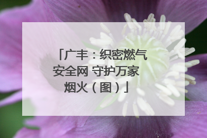 广丰：织密燃气安全网 守护万家烟火（图）
