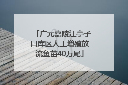 广元嘉陵江亭子口库区人工增殖放流鱼苗40万尾