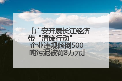 广安开展长江经济带“清废行动” 一企业违规倾倒500吨污泥被罚8万元