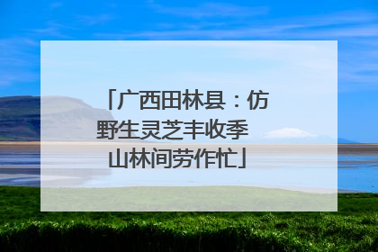 广西田林县：仿野生灵芝丰收季 山林间劳作忙