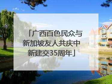 广西百色民众与新加坡友人共庆中新建交35周年