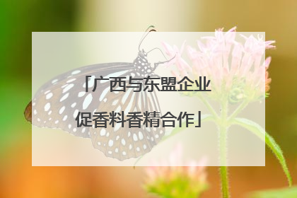 广西与东盟企业促香料香精合作