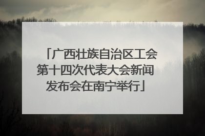 广西壮族自治区工会第十四次代表大会新闻发布会在南宁举行
