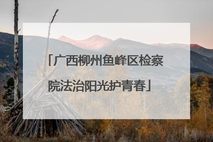 广西柳州鱼峰区检察院法治阳光护青春