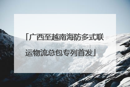 广西至越南海防多式联运物流总包专列首发