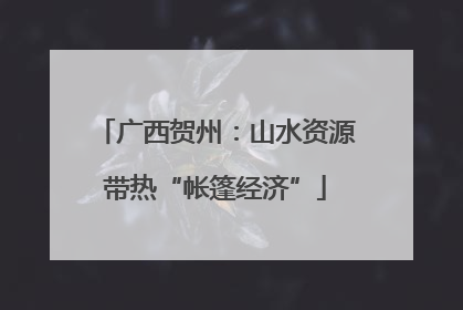 广西贺州：山水资源带热“帐篷经济”