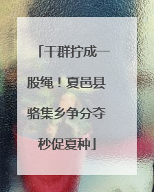 干群拧成一股绳！夏邑县骆集乡争分夺秒促夏种