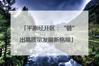 平原经开区：“链”出高质量发展新格局