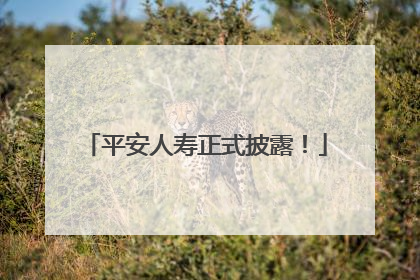 平安人寿正式披露！