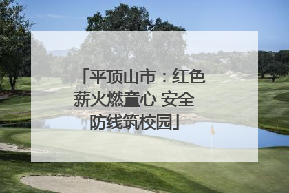 平顶山市：红色薪火燃童心 安全防线筑校园