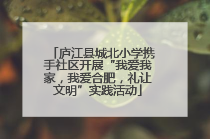 庐江县城北小学携手社区开展“我爱我家，我爱合肥，礼让文明”实践活动