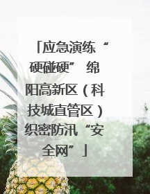 应急演练“硬碰硬” 绵阳高新区（科技城直管区）织密防汛“安全网”