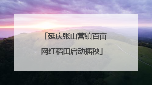 延庆张山营镇百亩网红稻田启动插秧