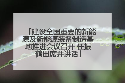 建设全国重要的新能源及新能源装备制造基地推进会议召开 任振鹤出席并讲话