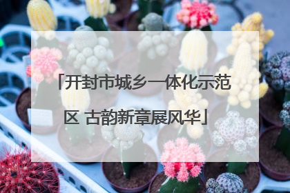 开封市城乡一体化示范区 古韵新章展风华