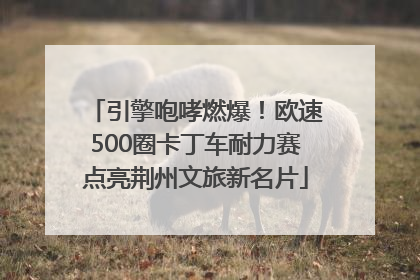 引擎咆哮燃爆！欧速500圈卡丁车耐力赛点亮荆州文旅新名片