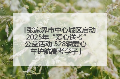 张家界市中心城区启动2025年“爱心送考”公益活动 528辆爱心车护航高考学子