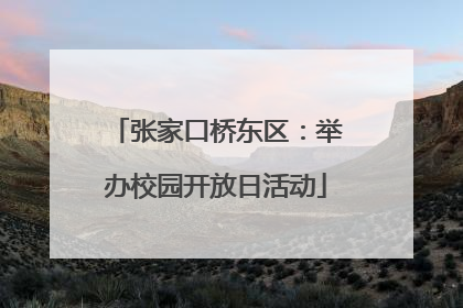 张家口桥东区：举办校园开放日活动
