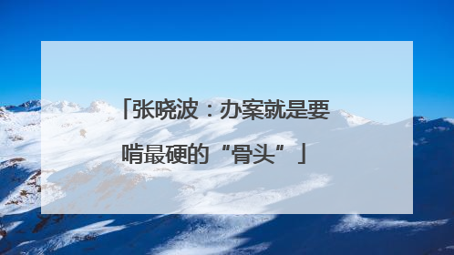 张晓波：办案就是要啃最硬的“骨头”