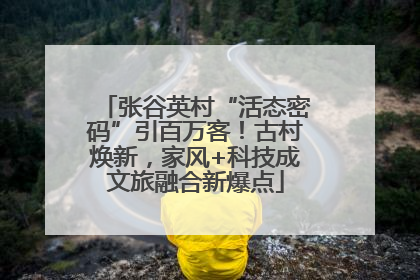 张谷英村“活态密码”引百万客！古村焕新，家风+科技成文旅融合新爆点