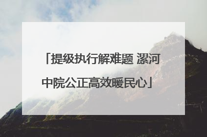 提级执行解难题 漯河中院公正高效暖民心