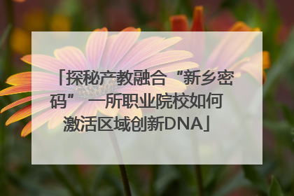 探秘产教融合“新乡密码” 一所职业院校如何激活区域创新DNA