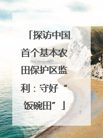 探访中国首个基本农田保护区监利：守好“饭碗田”