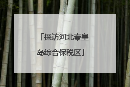 探访河北秦皇岛综合保税区