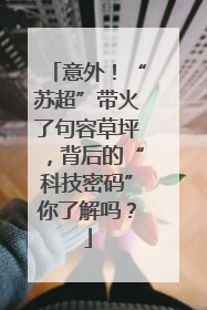 意外！“苏超”带火了句容草坪，背后的“科技密码”你了解吗？