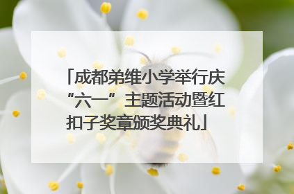 成都弟维小学举行庆“六一”主题活动暨红扣子奖章颁奖典礼