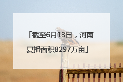 截至6月13日，河南夏播面积8297万亩