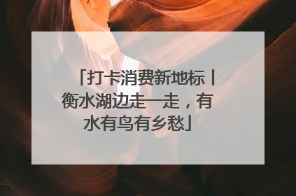 打卡消费新地标丨衡水湖边走一走，有水有鸟有乡愁