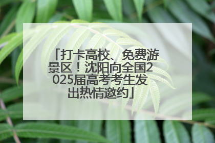 打卡高校、免费游景区！沈阳向全国2025届高考考生发出热情邀约