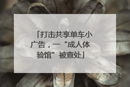 打击共享单车小广告，一“成人体验馆”被查处