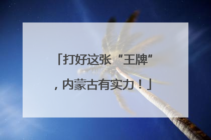 打好这张“王牌”，内蒙古有实力！