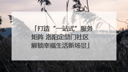 打造“一站式”服务矩阵 洛阳定鼎门社区解锁幸福生活新场景