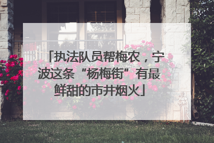 执法队员帮梅农，宁波这条“杨梅街”有最鲜甜的市井烟火