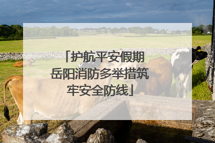 护航平安假期 岳阳消防多举措筑牢安全防线