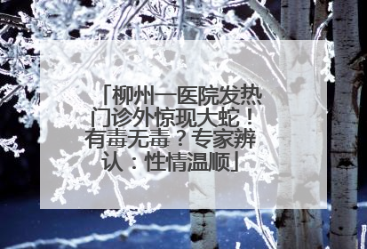 柳州一医院发热门诊外惊现大蛇！有毒无毒？专家辨认：性情温顺