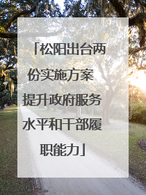 松阳出台两份实施方案 提升政府服务水平和干部履职能力