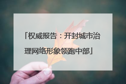 权威报告：开封城市治理网络形象领跑中部
