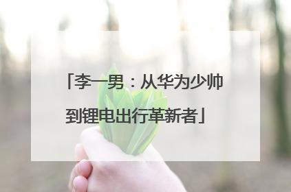 李一男：从华为少帅到锂电出行革新者
