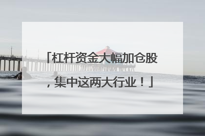 杠杆资金大幅加仓股，集中这两大行业！
