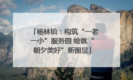 杨林镇：构筑“一老一小”服务圈 绘就“朝夕美好”新图景