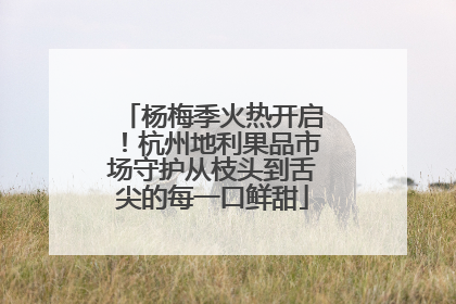 杨梅季火热开启！杭州地利果品市场守护从枝头到舌尖的每一口鲜甜