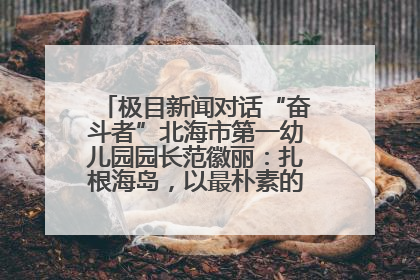 极目新闻对话“奋斗者”北海市第一幼儿园园长范徽丽：扎根海岛，以最朴素的爱践行教育的梦想