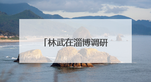 林武在淄博调研督导经济运行